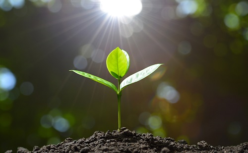 1657855806357577.png image.png