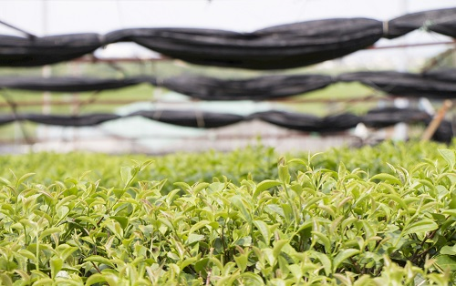 1673592258174694.png image.png