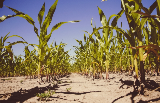 �����ؽ����ٜy�x