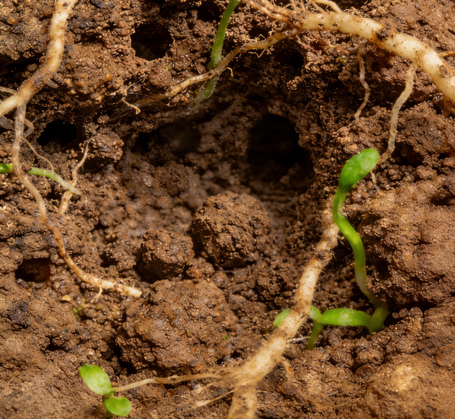 土壤水勢測定儀選國產(chǎn)？萊恩德耐鹽堿陶土頭 + 多探頭長度可定制